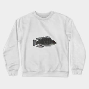 Blue Spotted Tilapia Crewneck Sweatshirt